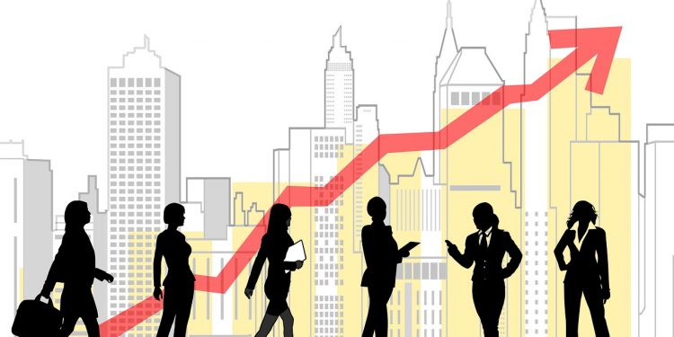 MLP Group i zysk netto