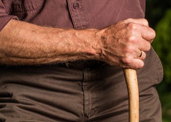 Pewne źródło dochodu