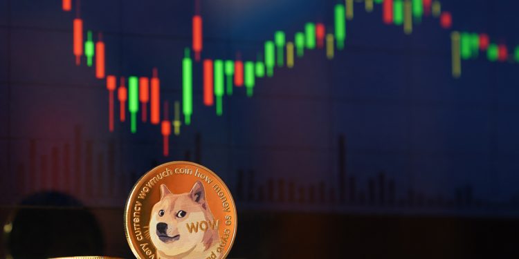 Dogecoin – co warto wiedzieć o tej kryptowalucie?